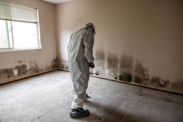 Best Crawl Space Mold Removal  in Mission, SD