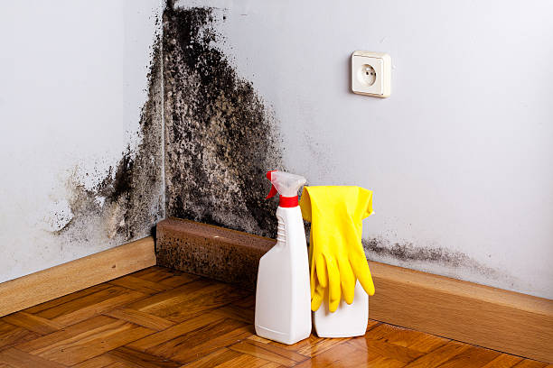 Water Damage Restoration in Mission, SD