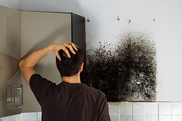 Best Office Mold Removal Services  in Mission, SD